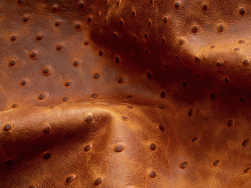 courovale_site_artigos_galeria_800x600px_gravados_05