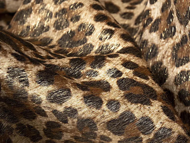 courovale_site_artigos_galeria_800x600px_pelo_04