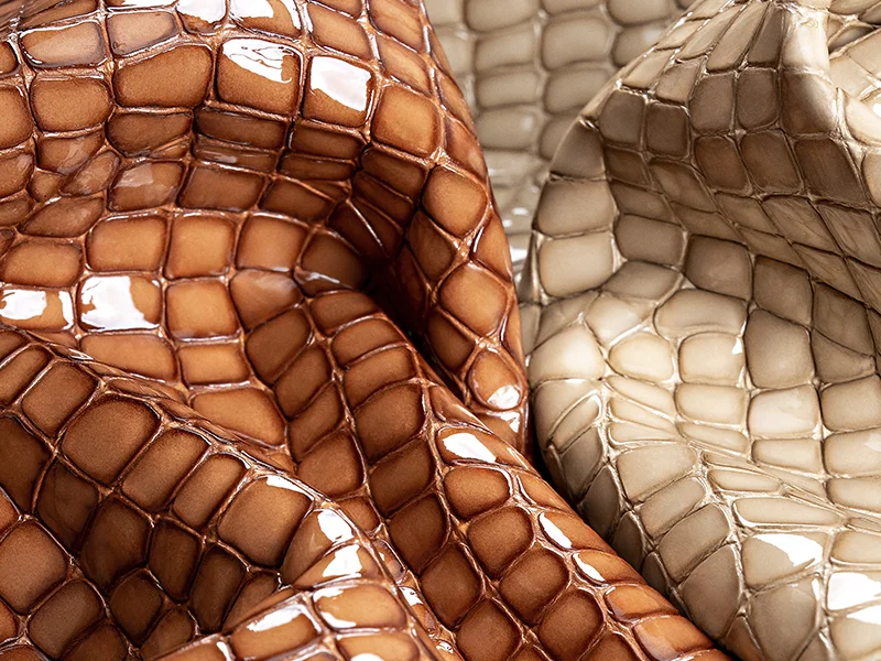 courovale_site_artigos_galeria_800x600px_verniz_04